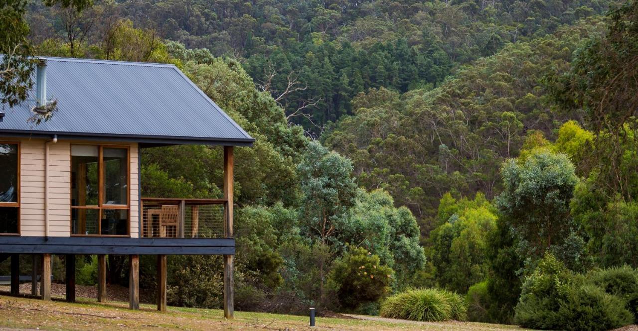Yering Gorge Cottages Extérieur photo